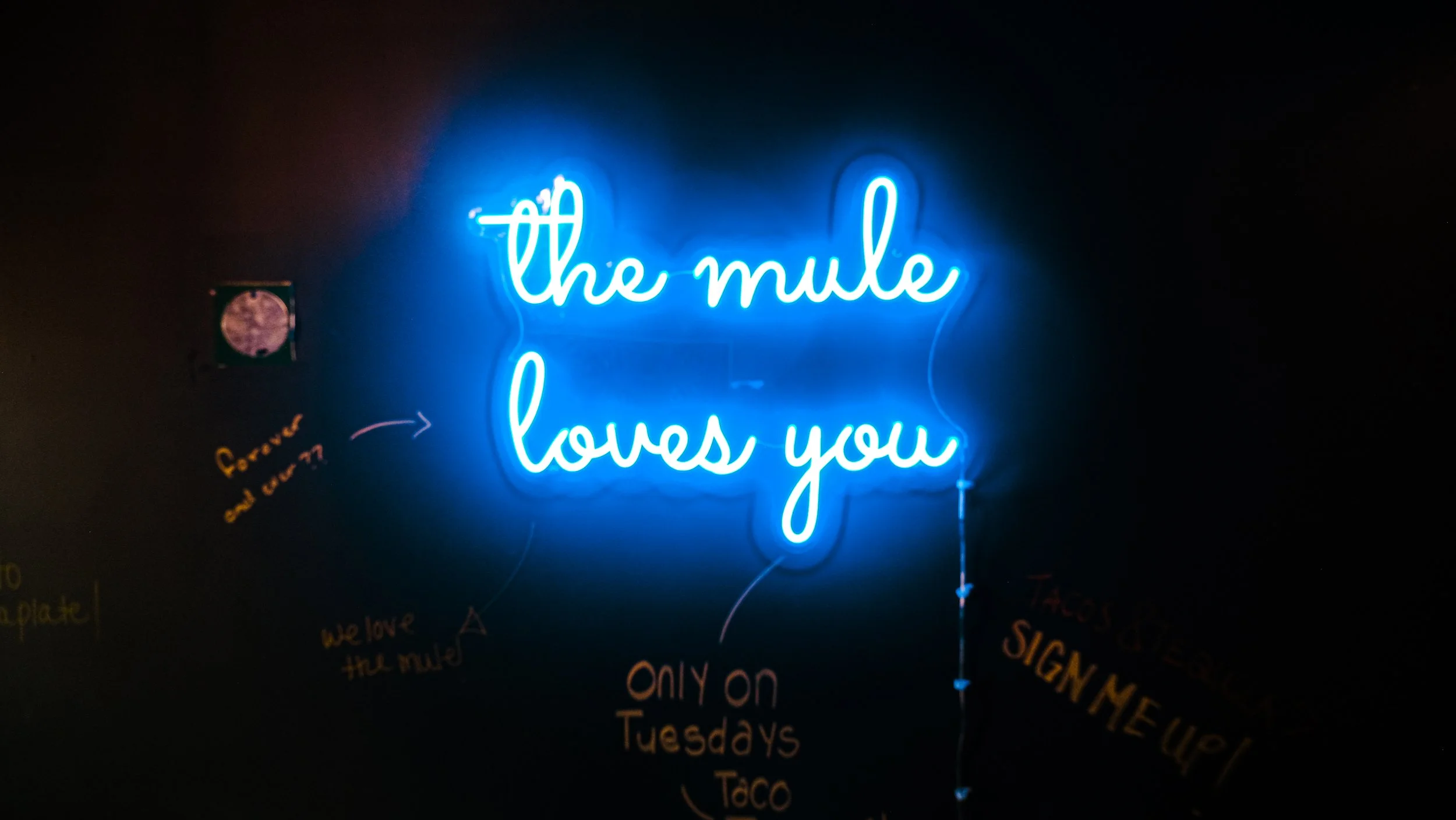 The Mule Loves You.png