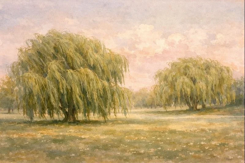A watercolor painting of two large, leafy trees in a park during sunset, with soft pastel pink and blue sky and scattered leaves on the ground.