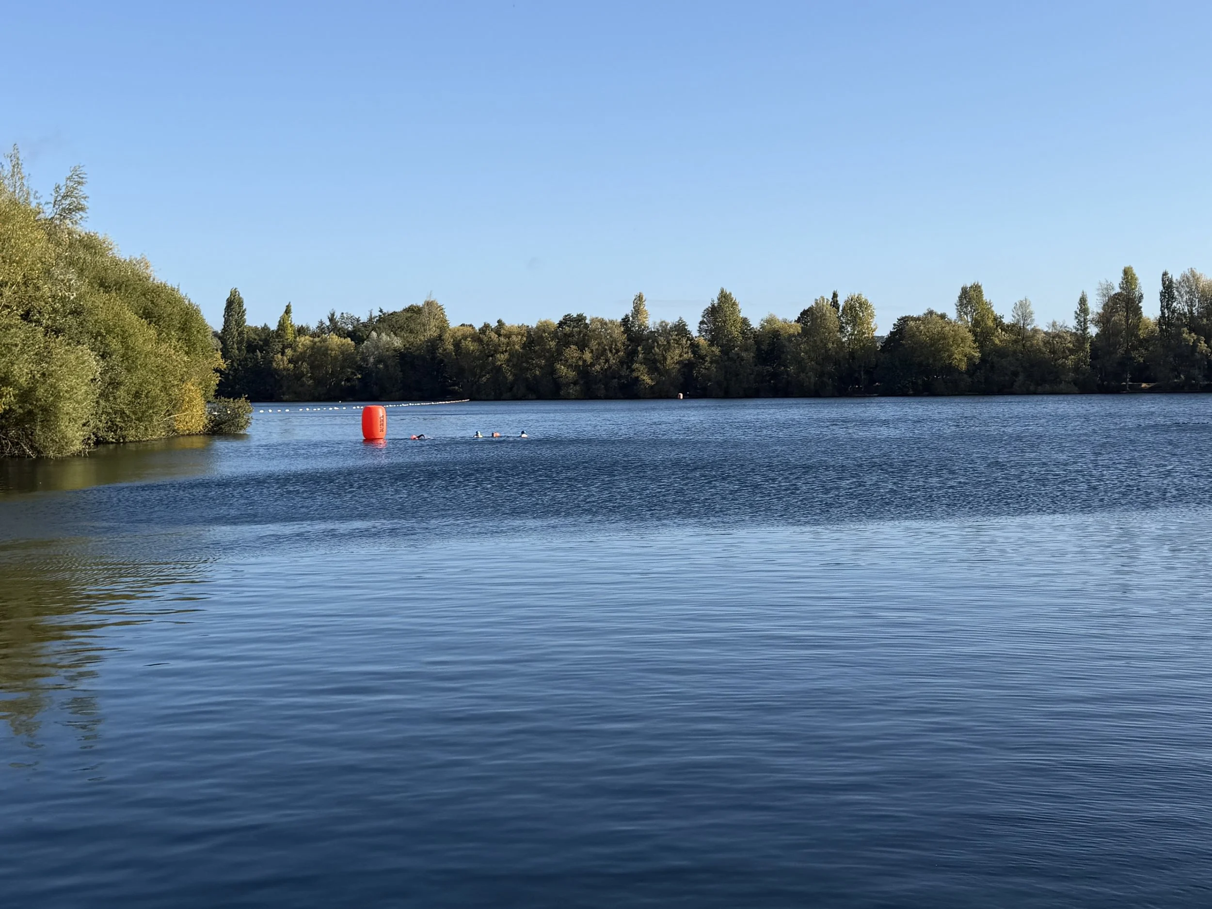 A calm lake with swimmers near a red buoy, surrounded by green trees under a clear blue sky.