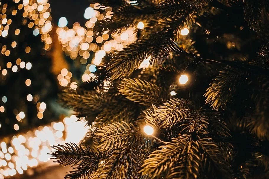 Close-up of a Christmas tree branch decorated with string lights, with blurred holiday lights in the background.