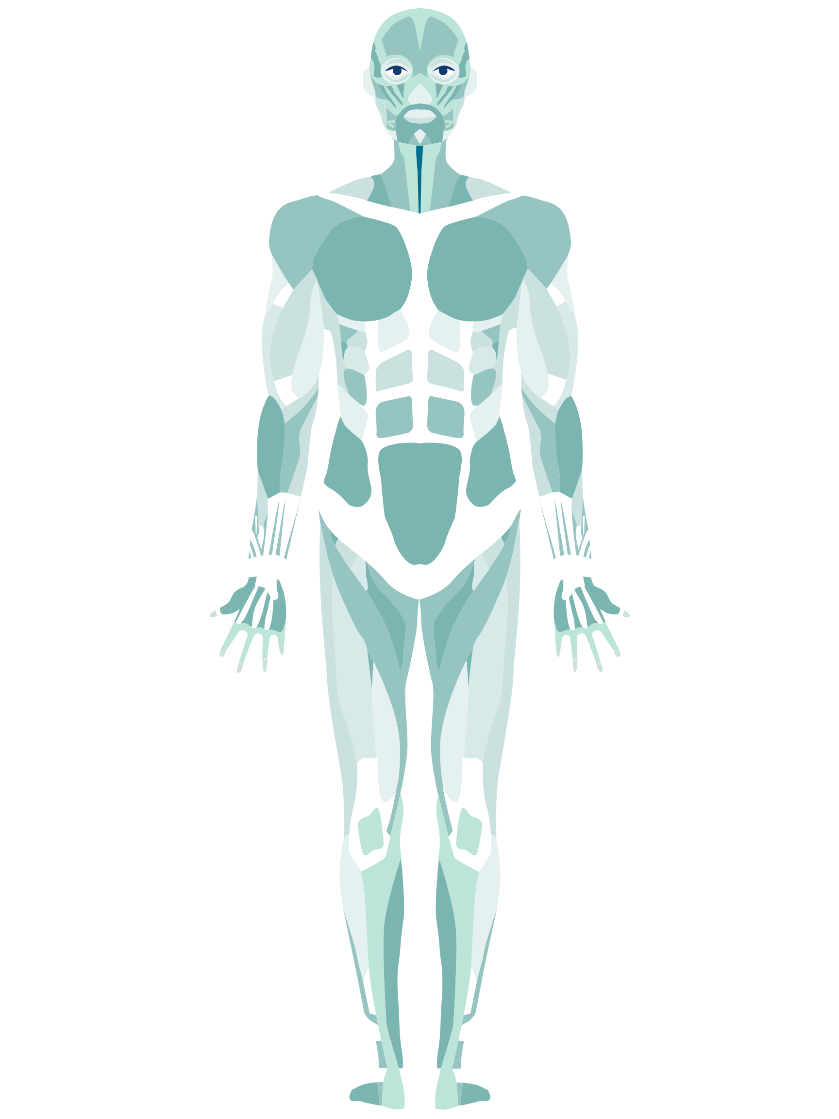 Scoliosis treatment program offered by Mary Beth Blend at BlendFit! In 6-weeks, you'll have a personalized exercise plan unique to your curve, helping you strengthen your spine to sustain and live an active life!