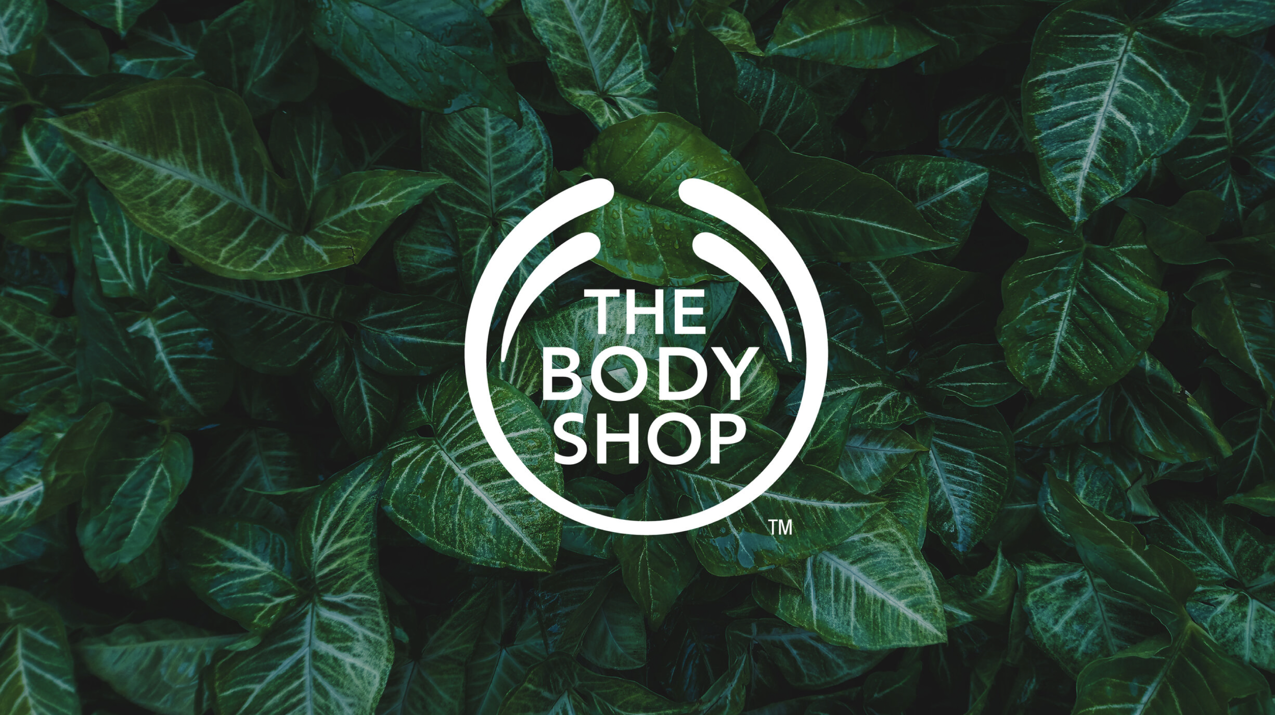 Screenshot 2026-02-08 at 17.34.58.png