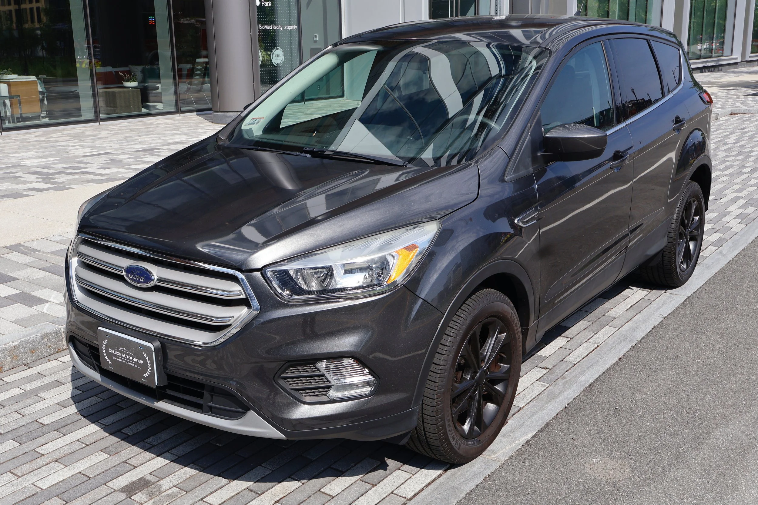 IMG_4004.jpeg