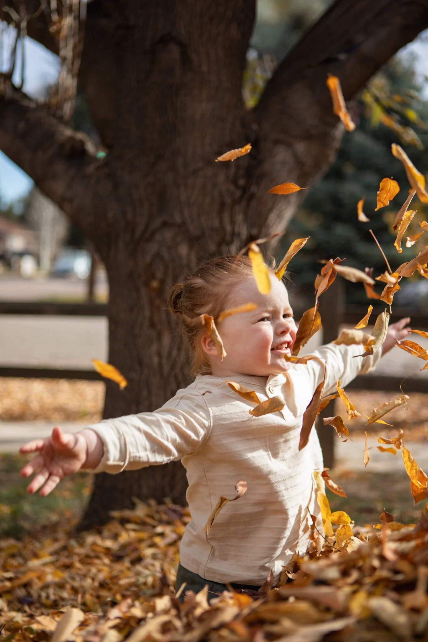 A young girl playing in fallen autumn leaves near a large tree, with her arms outstretched and a joyful expression.