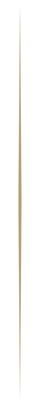 A long, narrow view of a street at night with streetlights illuminating the road and buildings on either side.