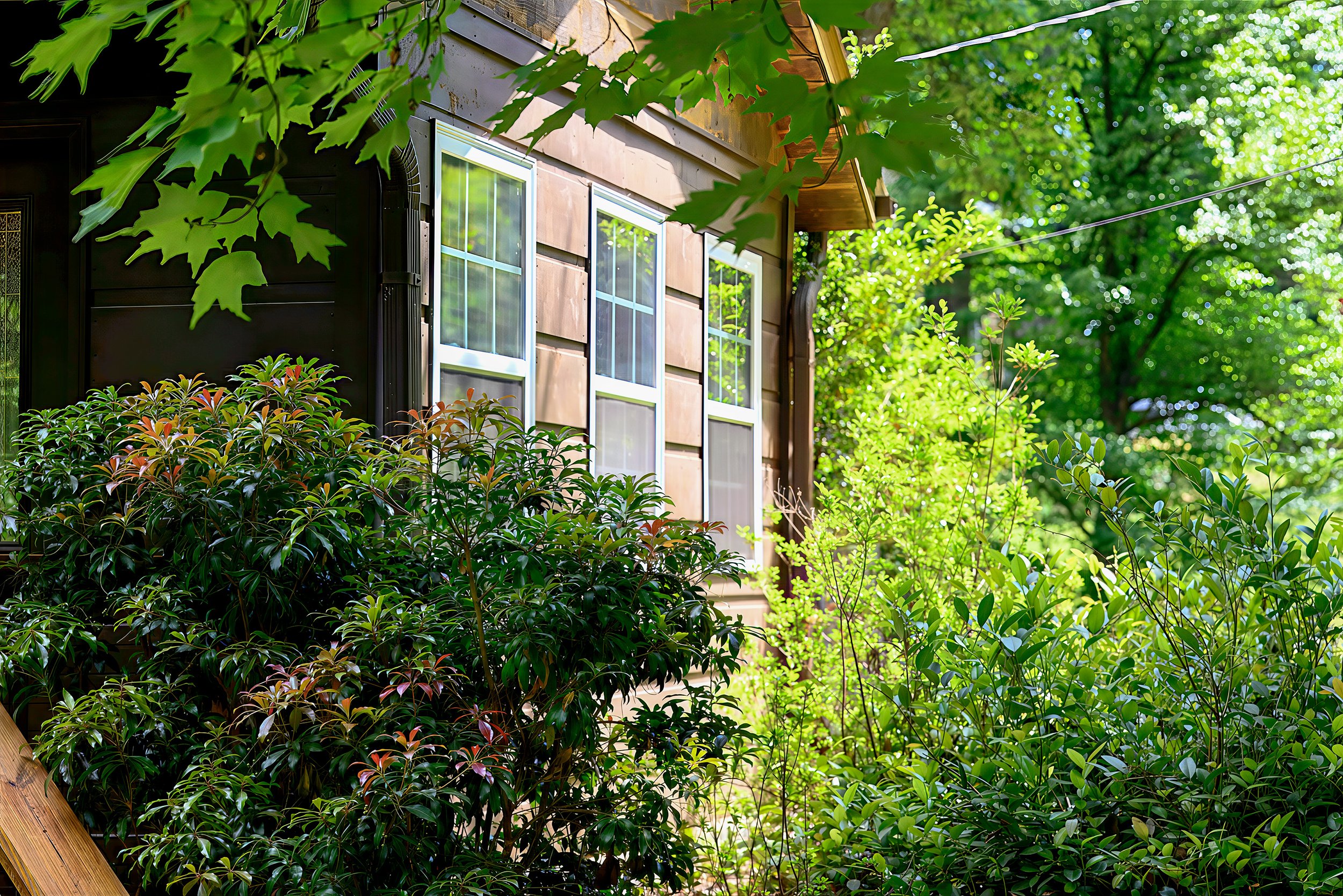 A house faced with brown siding surrounded by lush green trees and shrubbery in a sunny outdoor setting.
