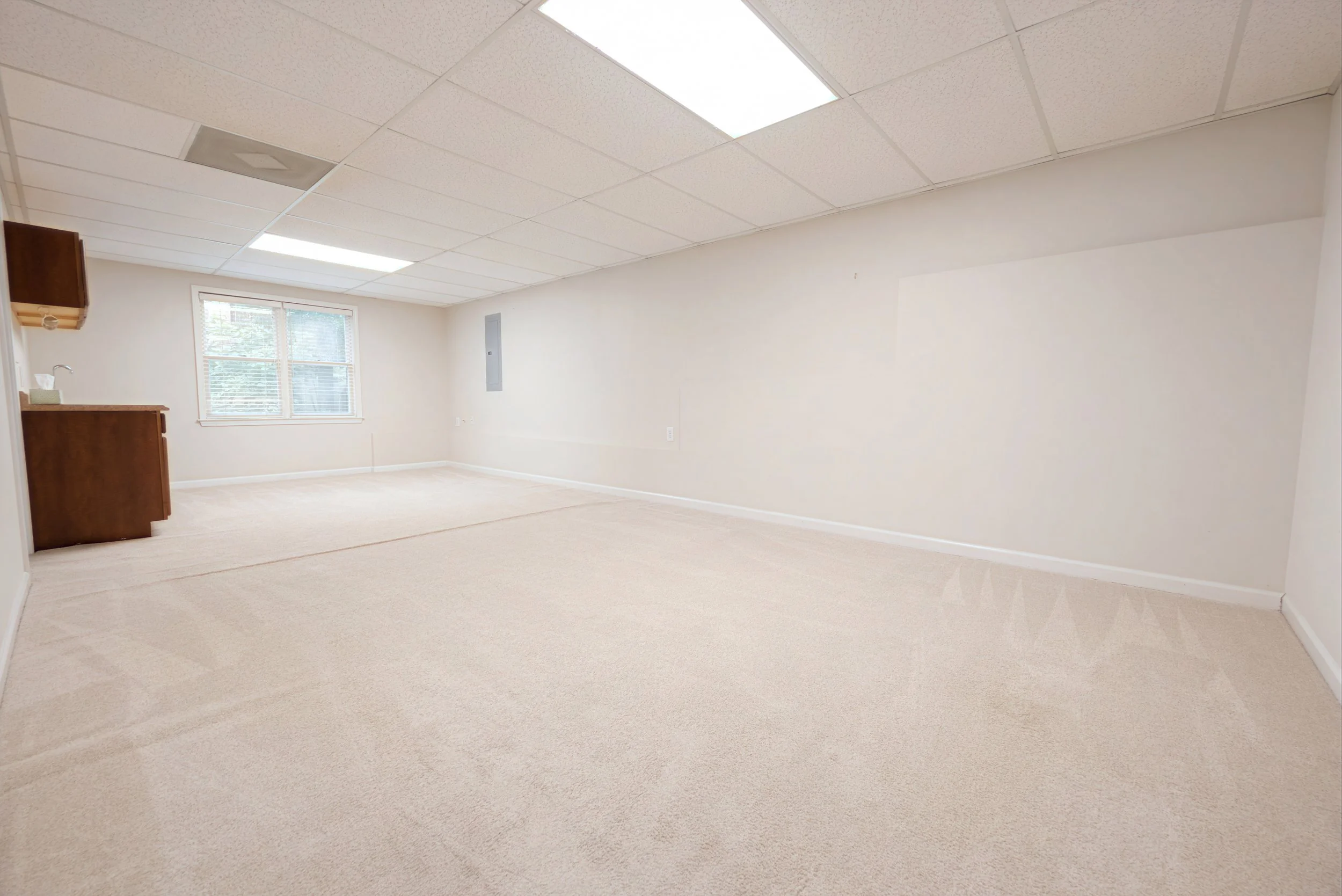 1055_whtrail_basement_1.jpg