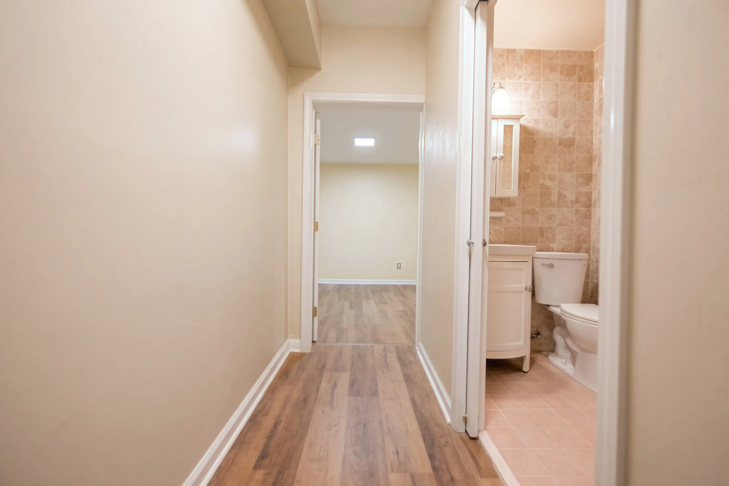 1055_whtrail_basement_6.jpg