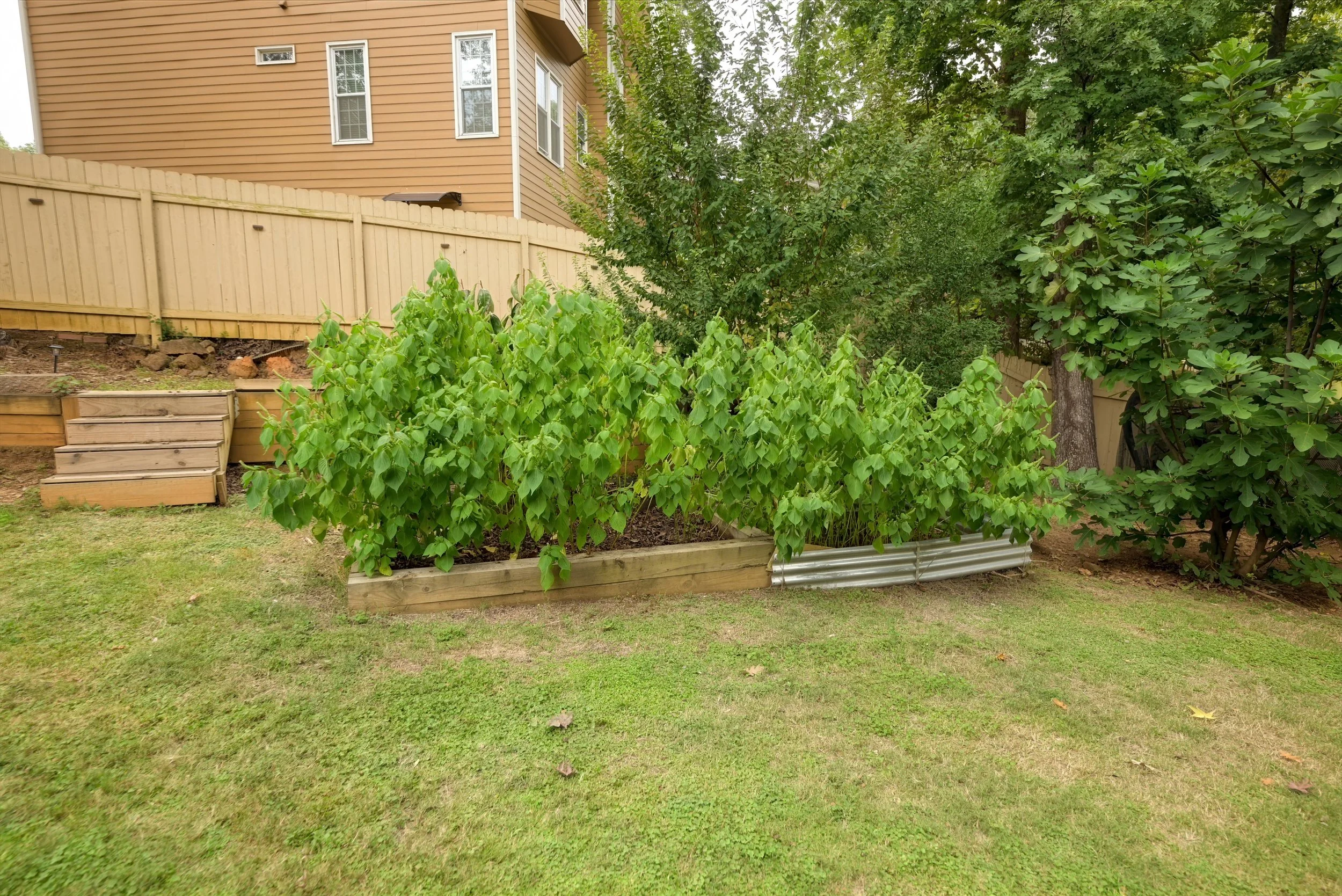 1055_whtrail_exterior_8.jpg