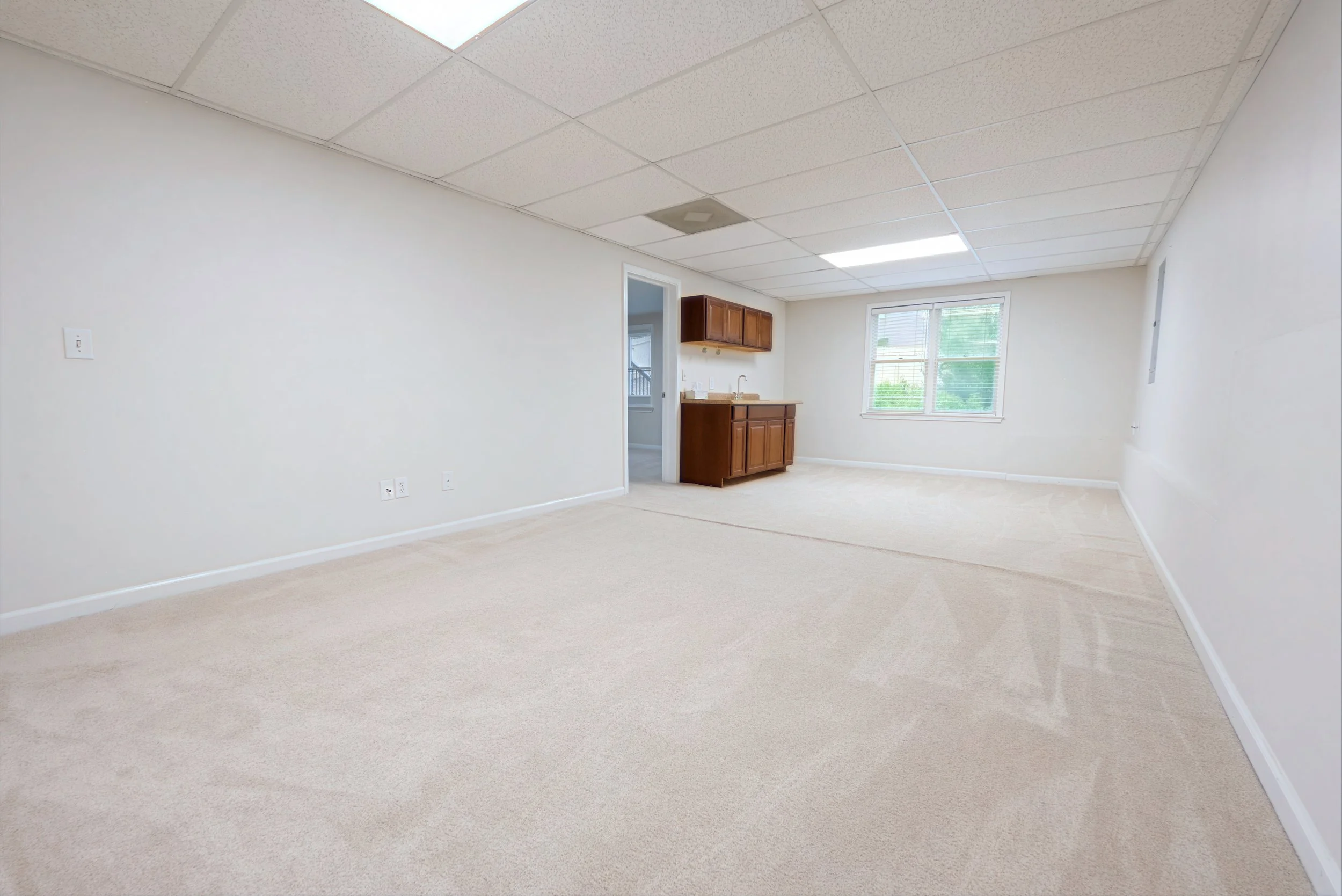 1055_whtrail_basement_2.jpg