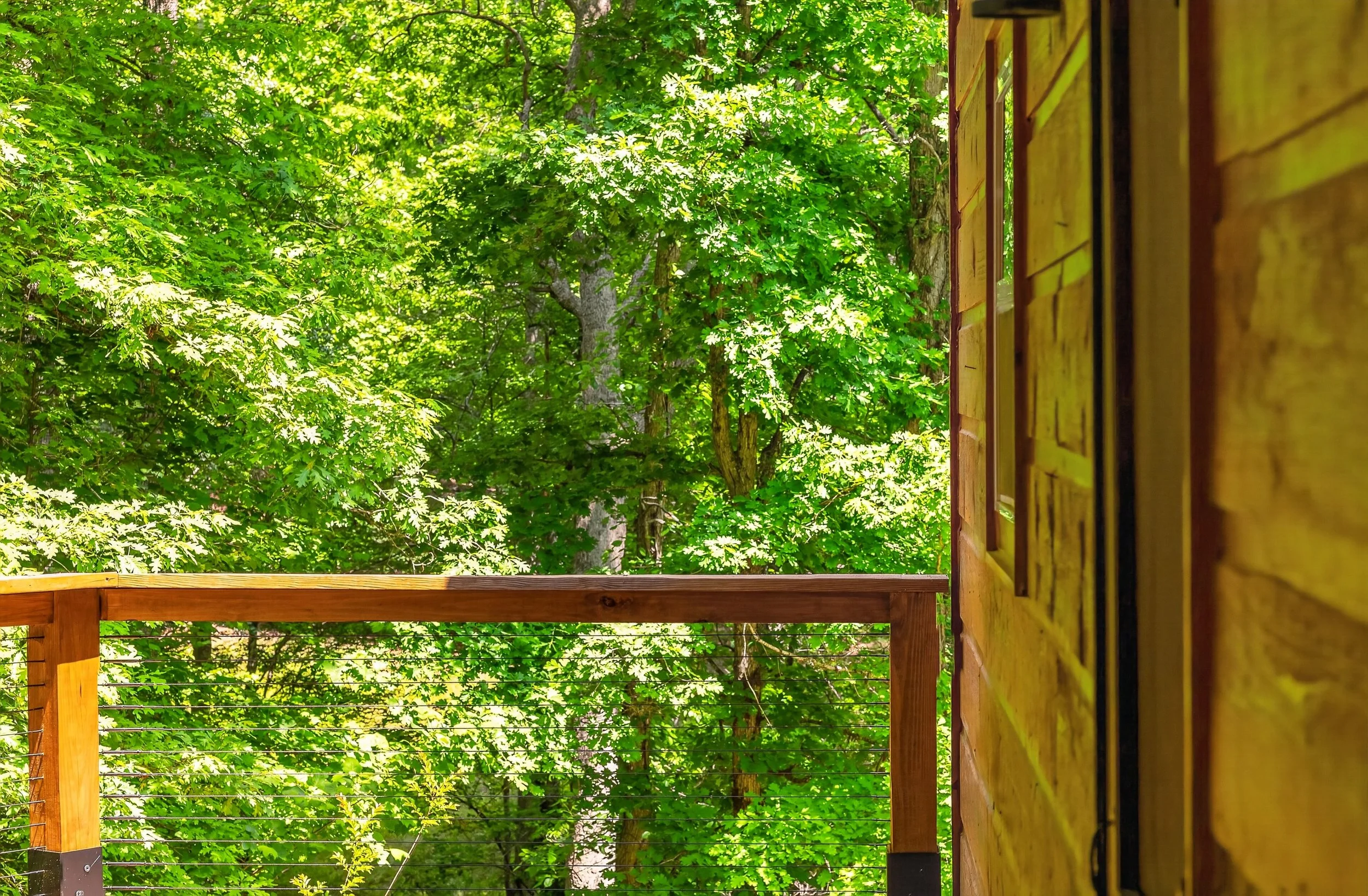 View from a wooden balcony or deck overlooking lush green trees overhead, with sunlight filtering through the leaves, and a partial view of a yellow wooden wall on the right.