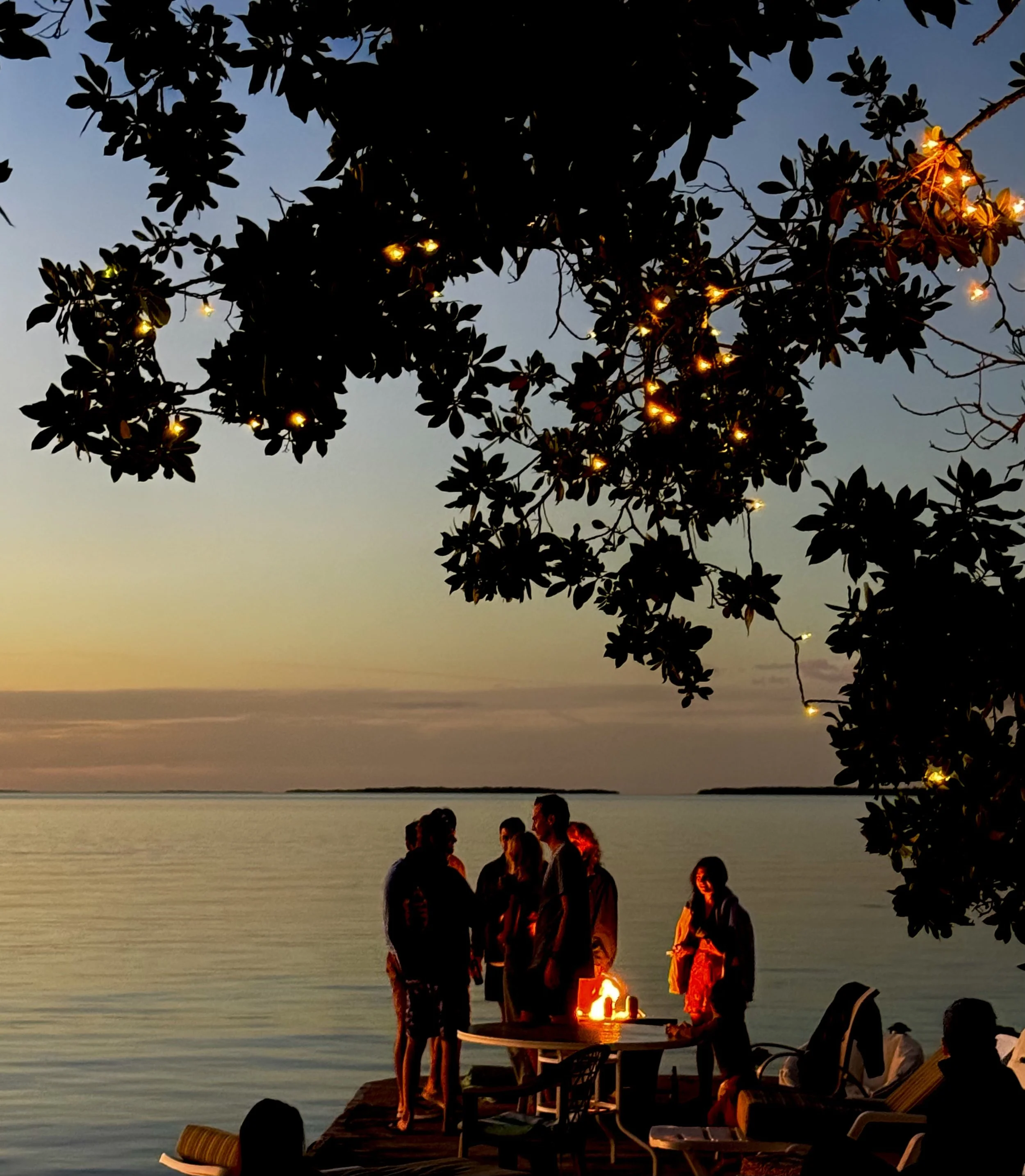 People gathered around a lit lantern on a dock by a calm body of water during sunset, with tree branches and string lights overhead.