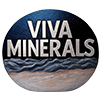 Viva Minerals