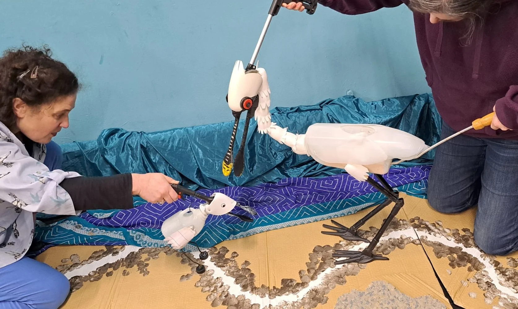 Wading and Wandering