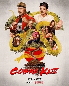 Cobra Kai - Season Three (2020) 2 DVD Set.jpg