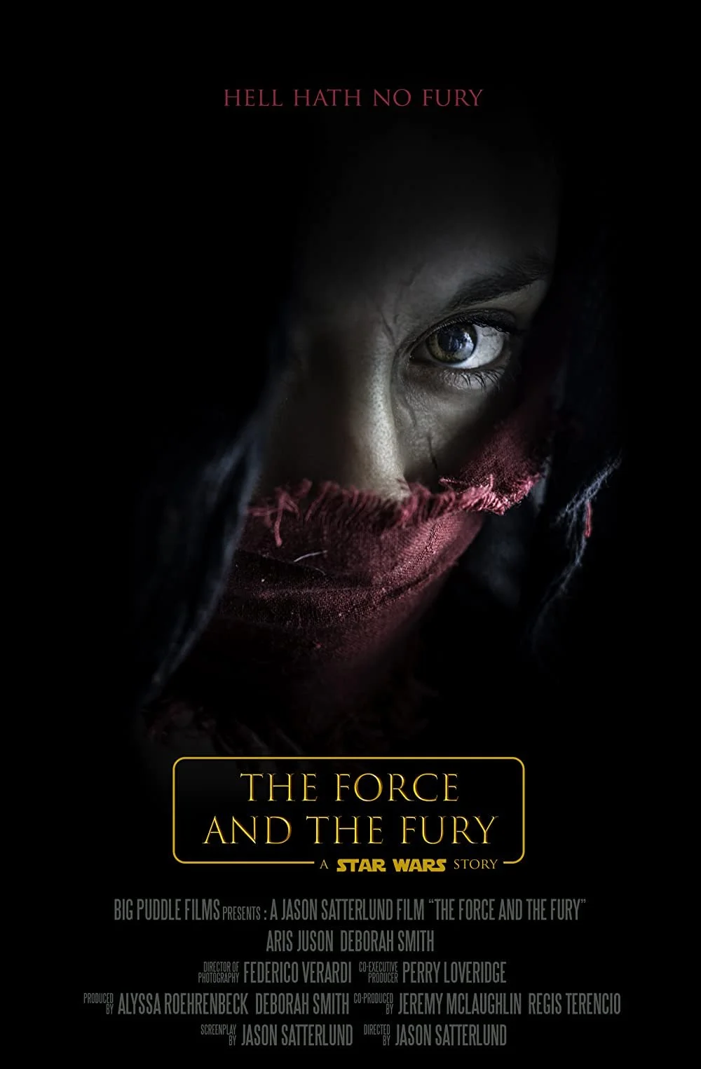 Star Wars - The Force And The Fury (2017).jpg