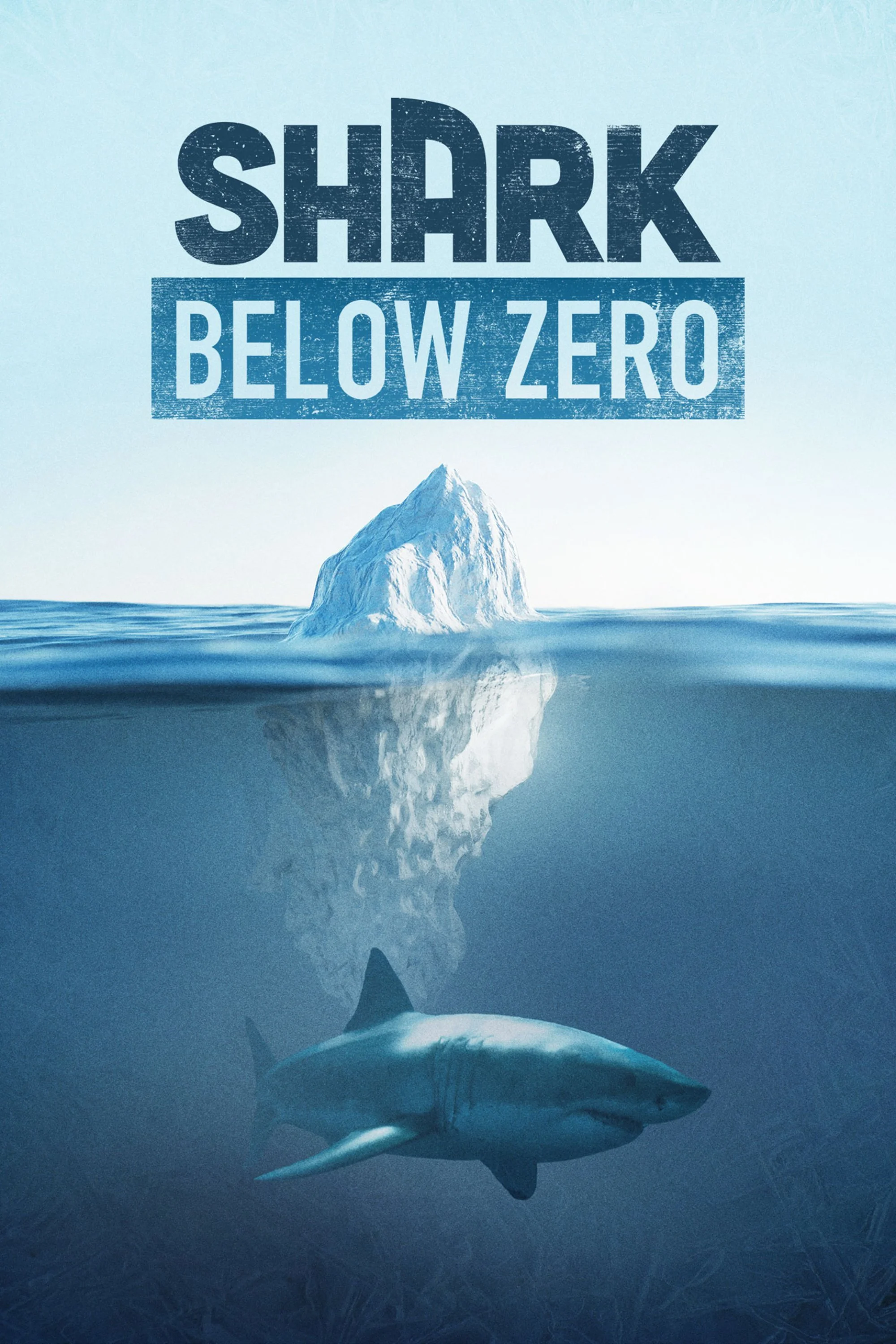 Shark Below Zero (2023).jpg