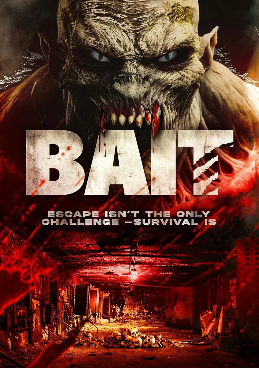 Bait (2025).jpg
