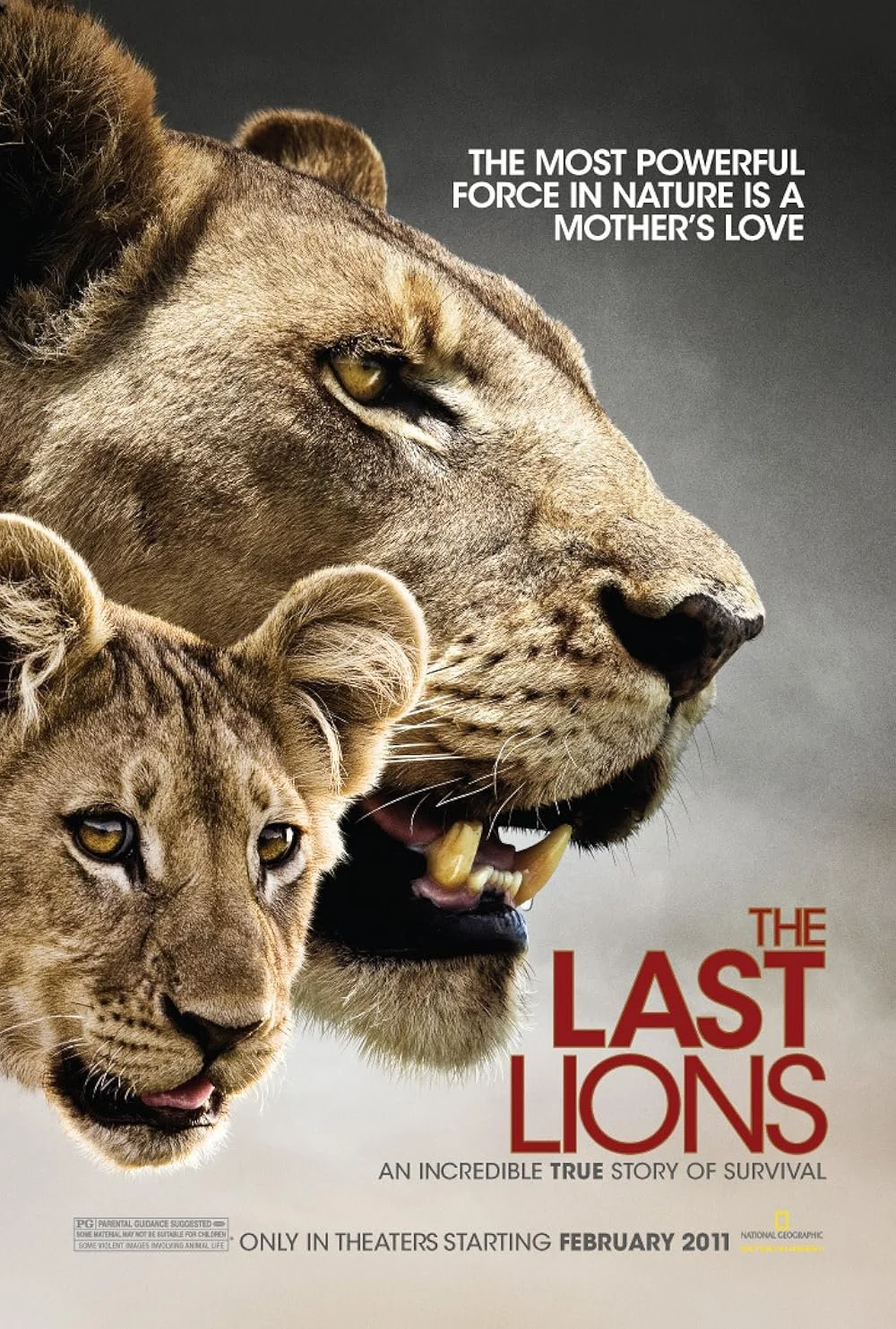 The Last Liopns (2011).jpg