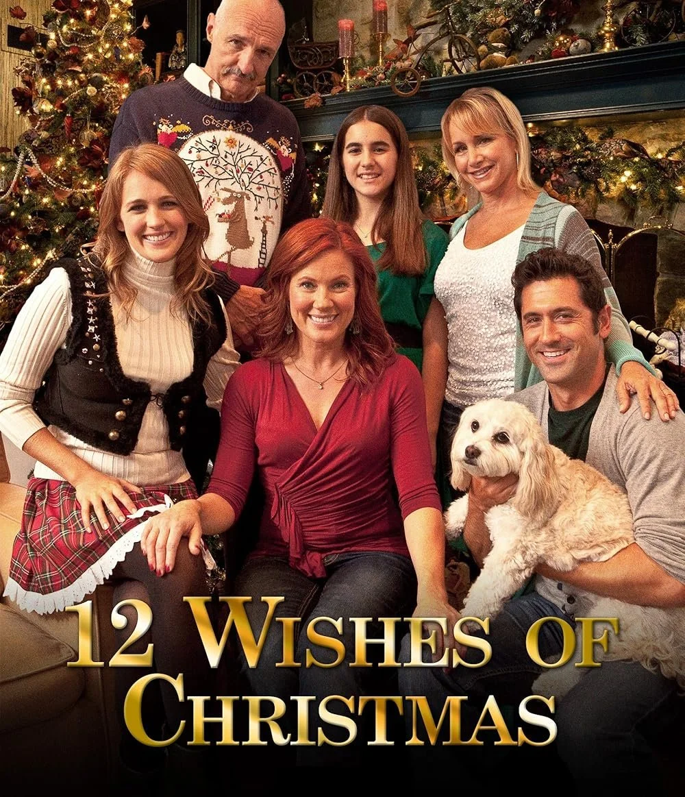 12 Wishes Of Christmas (2011).jpg