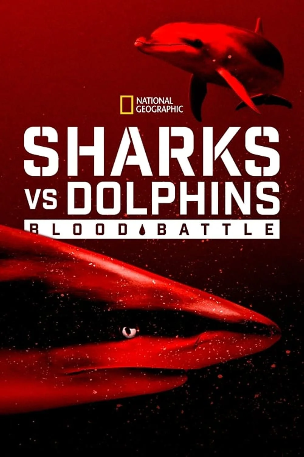 Sharks vs. Dolphins - Blood Battle (2020).jpg
