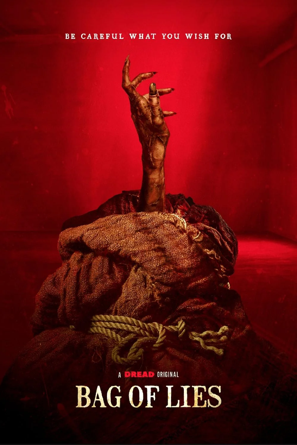 Bag Of Lies (2024).jpg