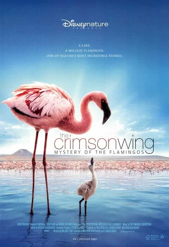 The Crimson Wing - Mystery Of The Flamingos (2008).jpg