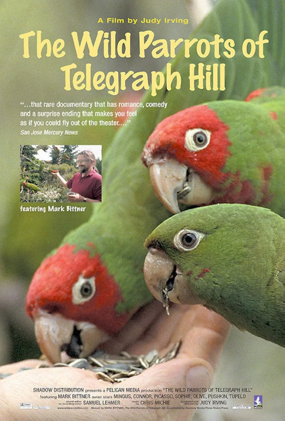 The WIld Parrots Of Telegraph Hill (2003).jpg