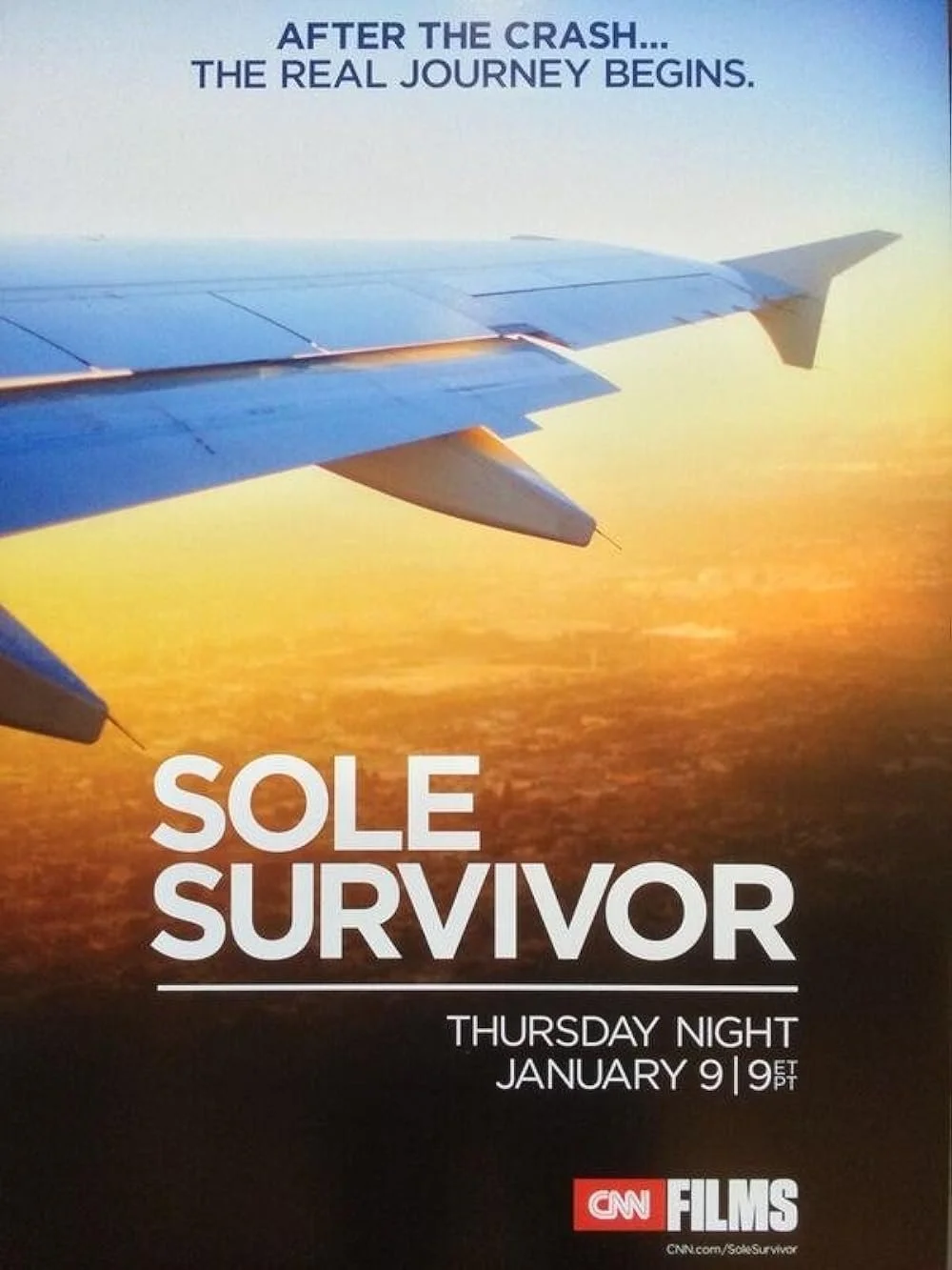 Sole Survivor (2013).jpg