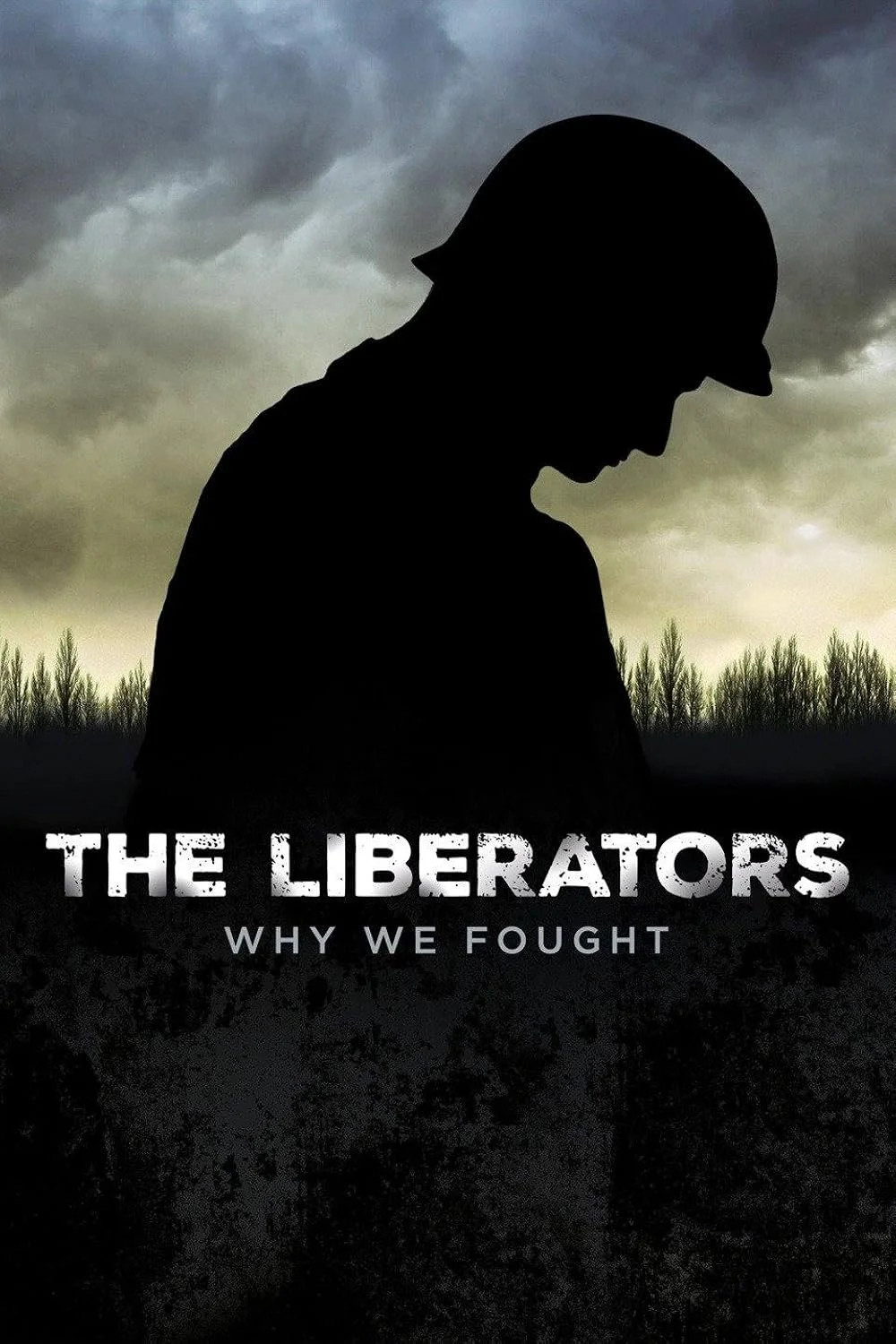 The Liberators - Why We Fought (2015).jpg