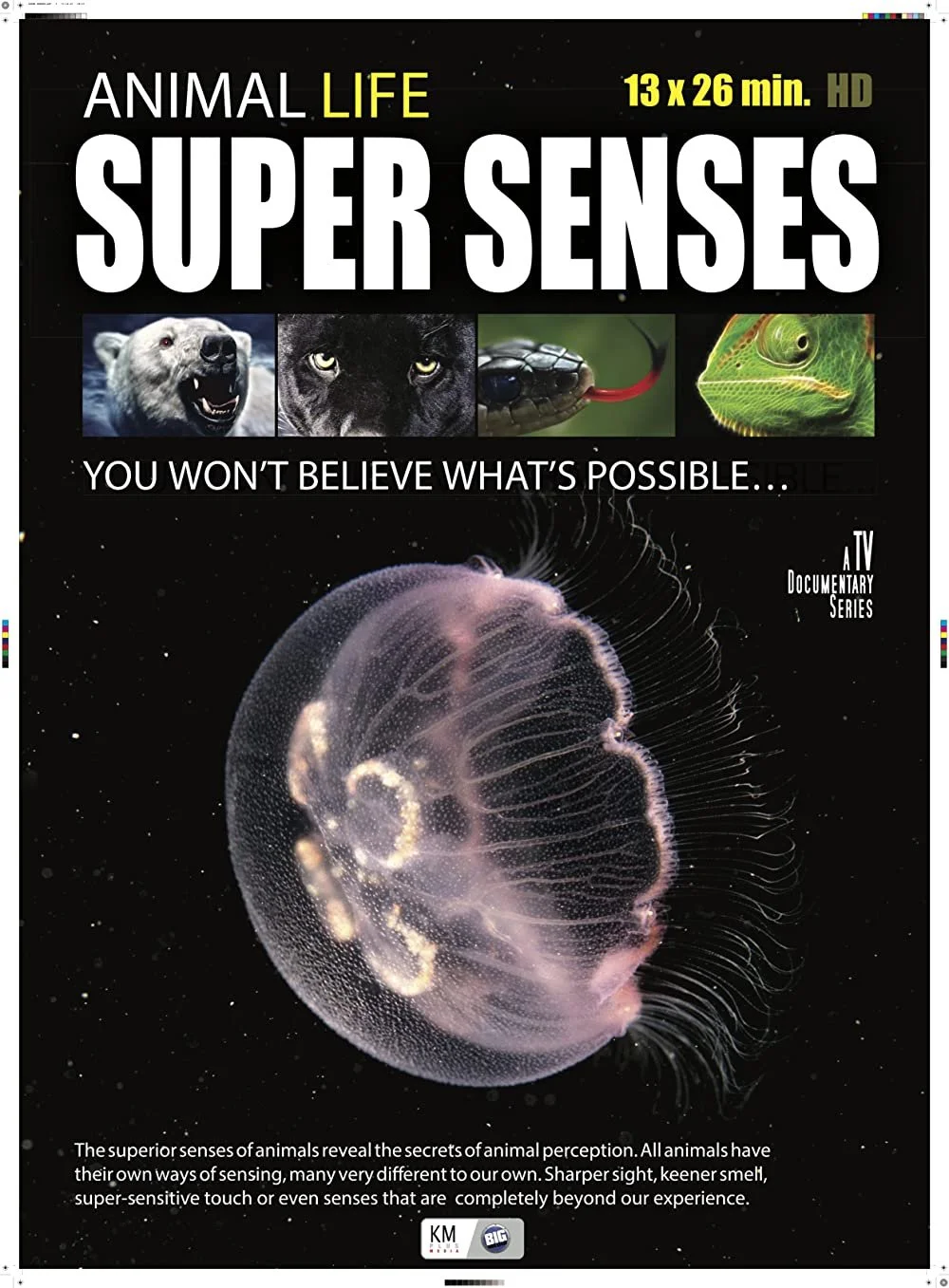 Super Senses (2015).jpg