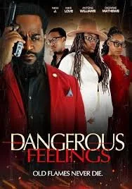 Dangerous Feelings (2024).jpg