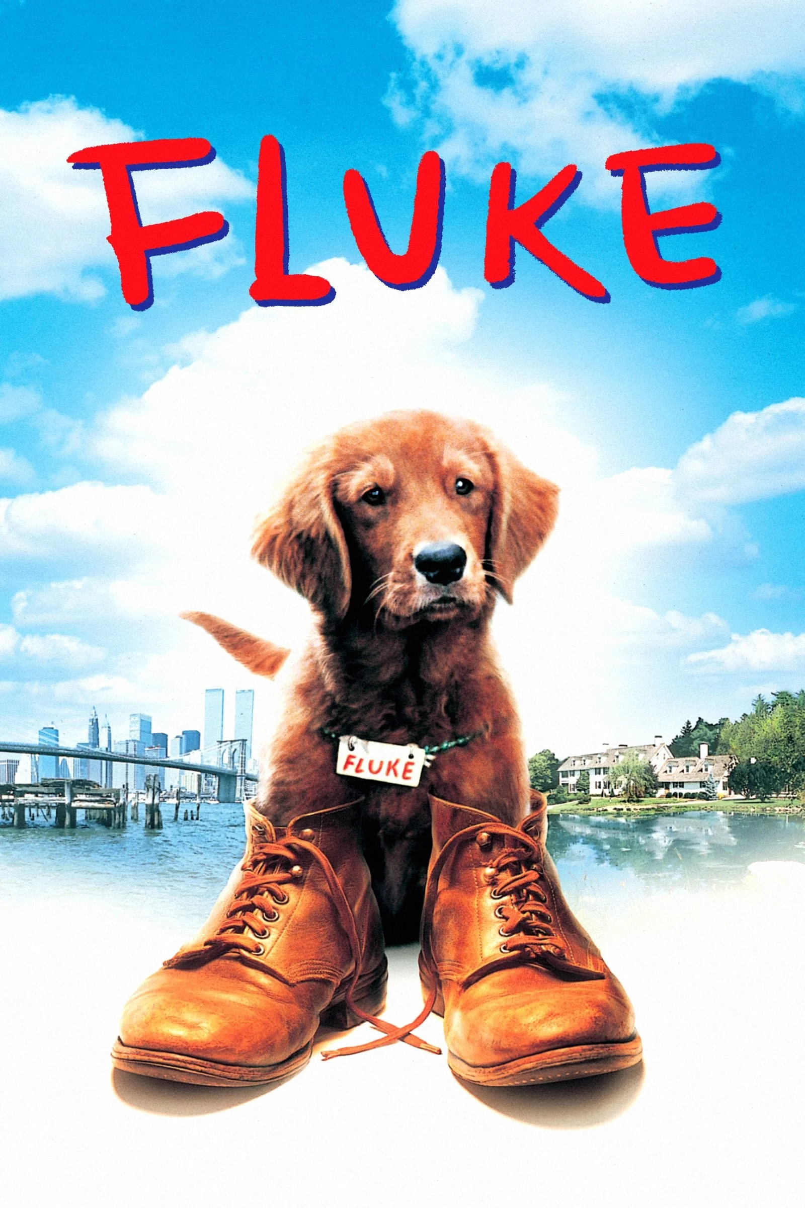 Fluke (1995).jpg