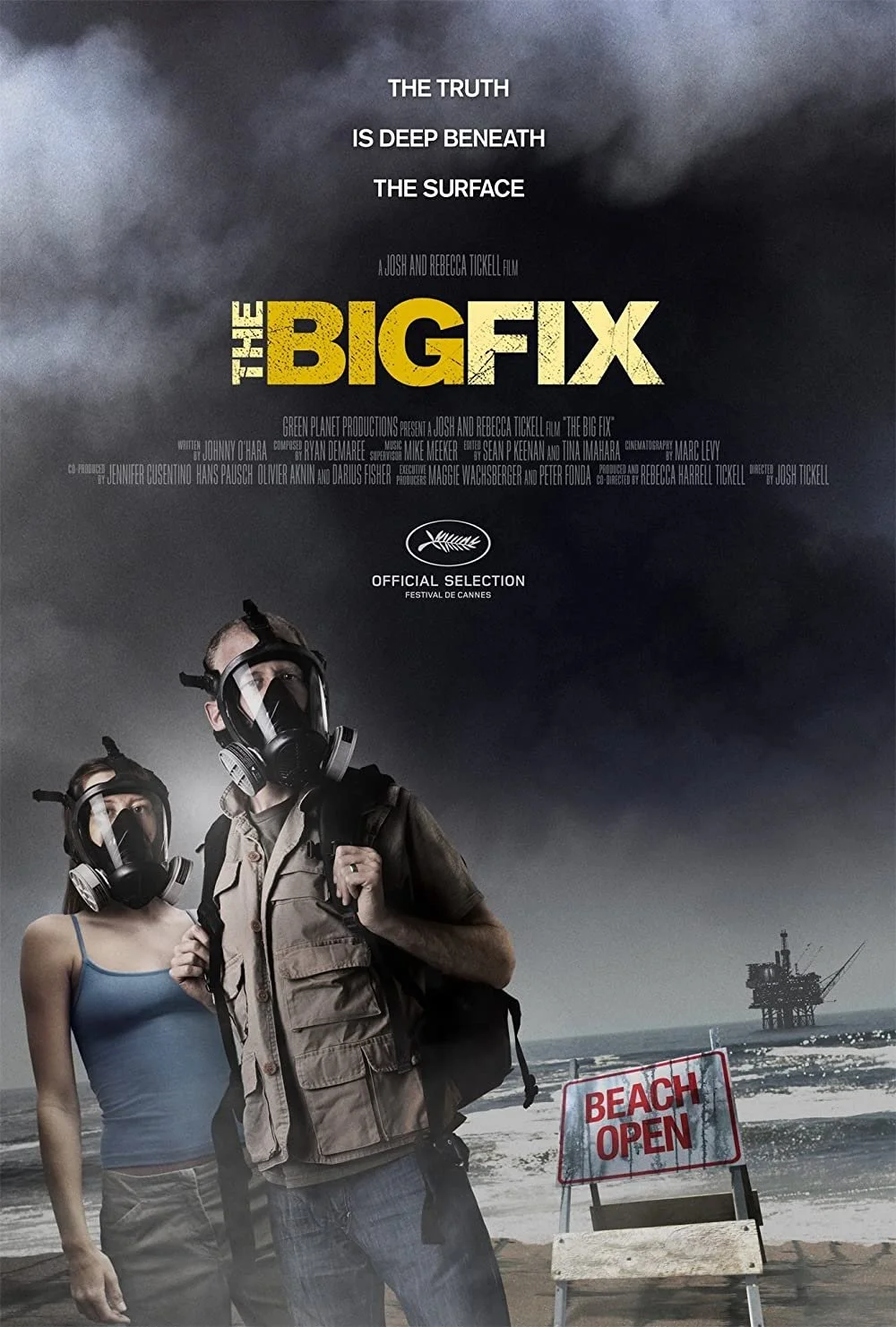 The Big Fix (2012).jpg
