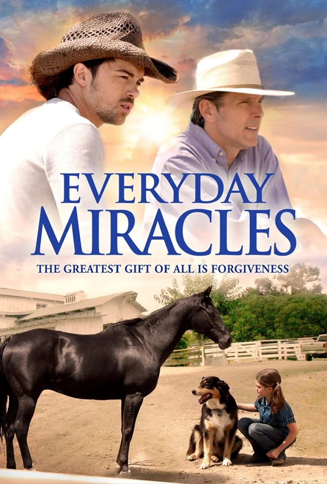 Everyday Miracles (2015).jpg