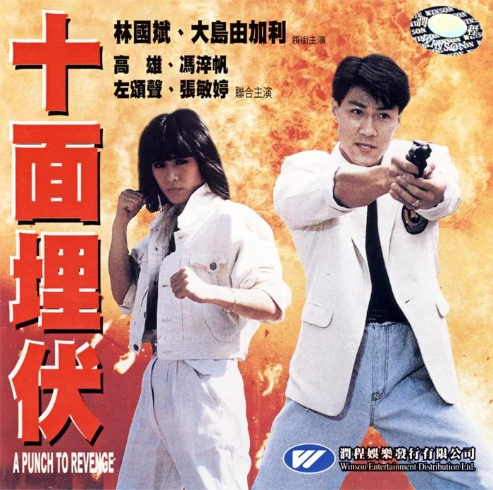A Punch To Revenge (1989) ENGLISH DUBBED.jpg