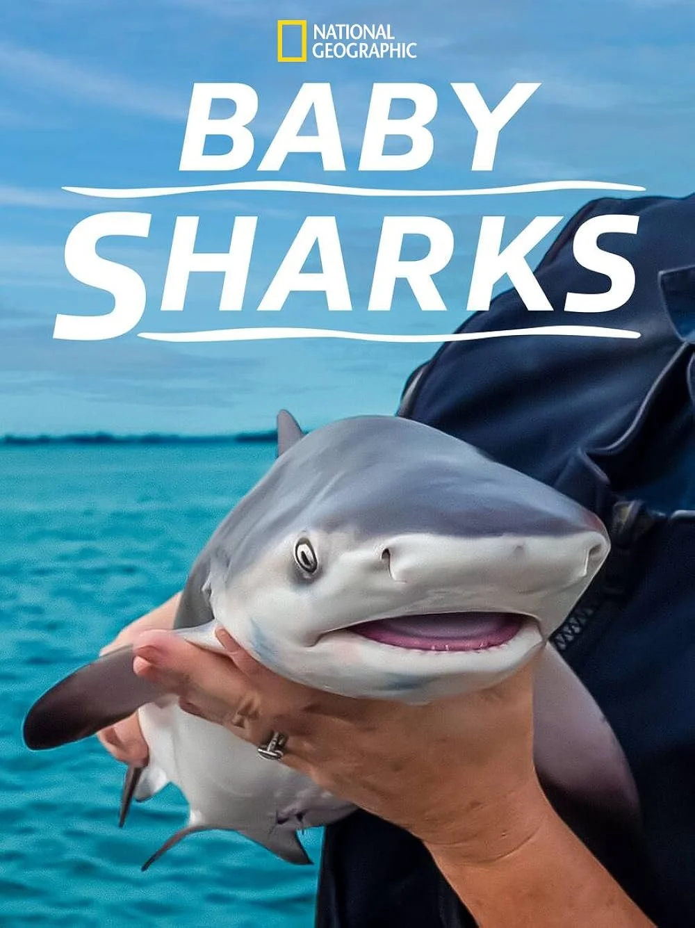 Baby Sharks (2022).jpg