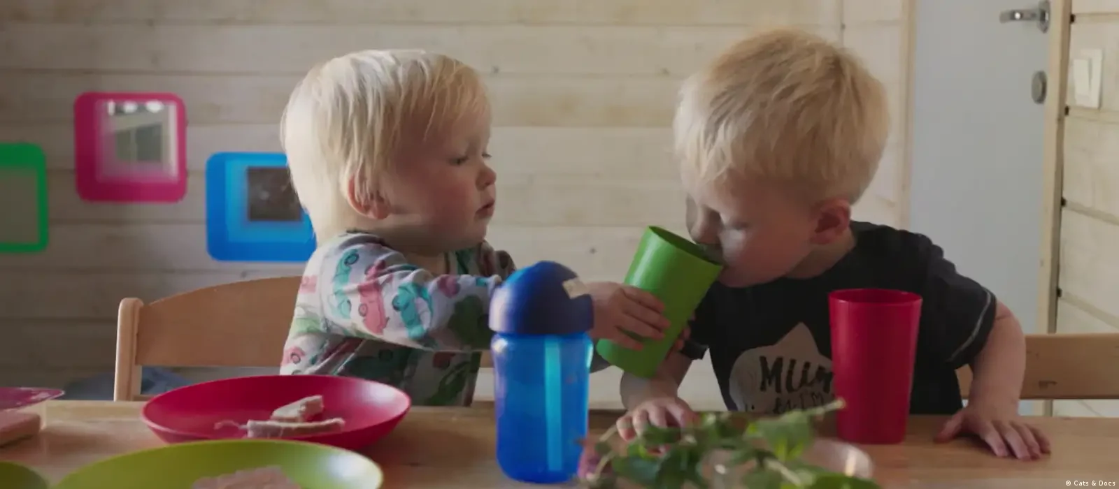 Empathy, Attachment, Alienation - How Children Develop (2025).webp