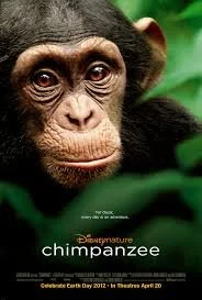 Chimpanzee (2012).jpg