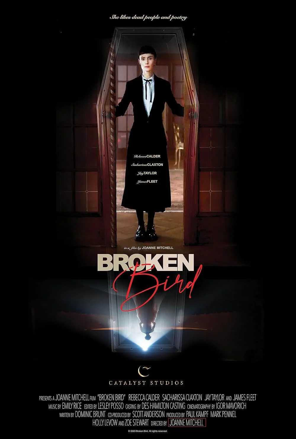 Broken Bird (2024).jpg