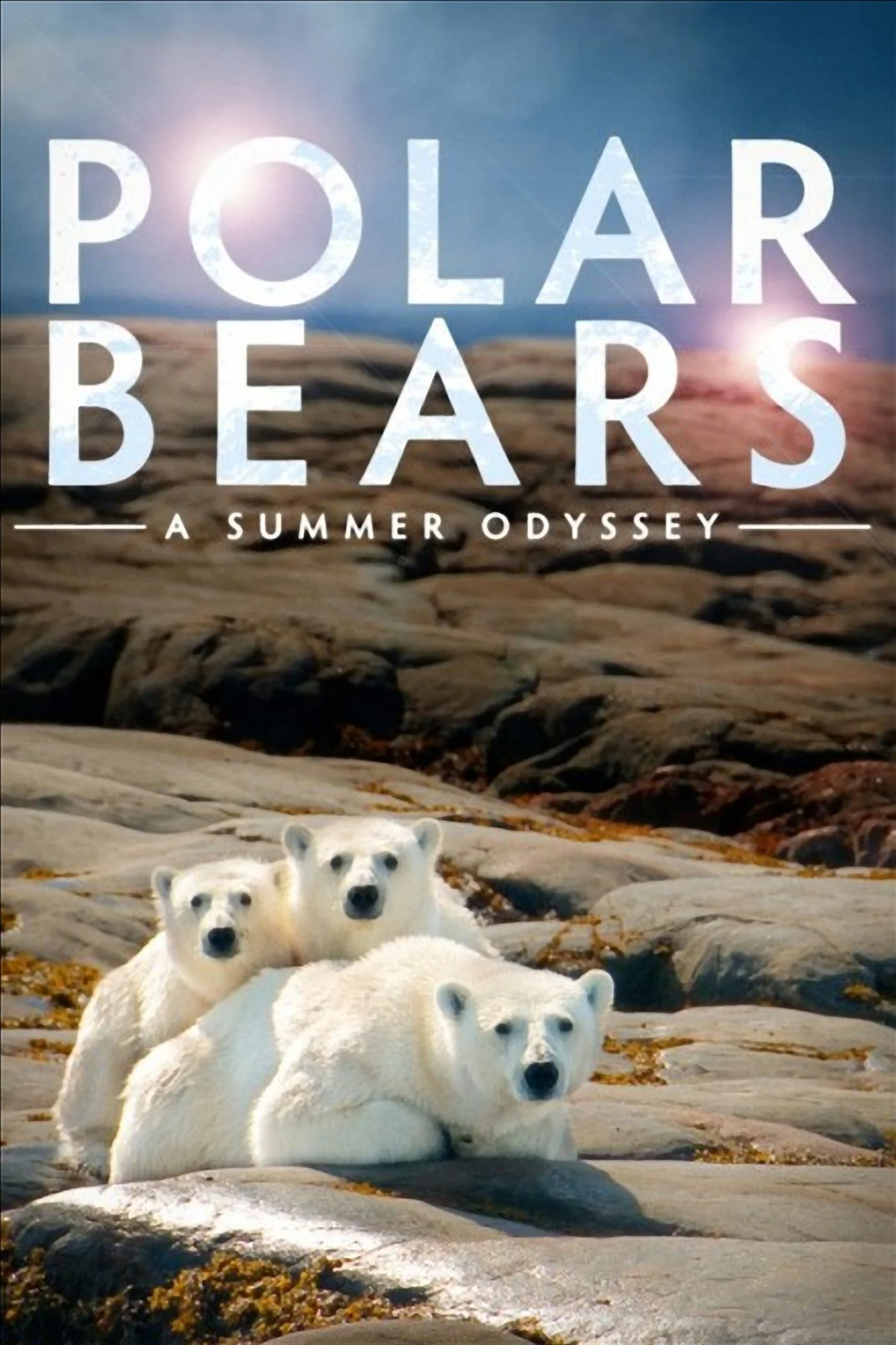 Polar Bears - A Summer Odyssey (2012)