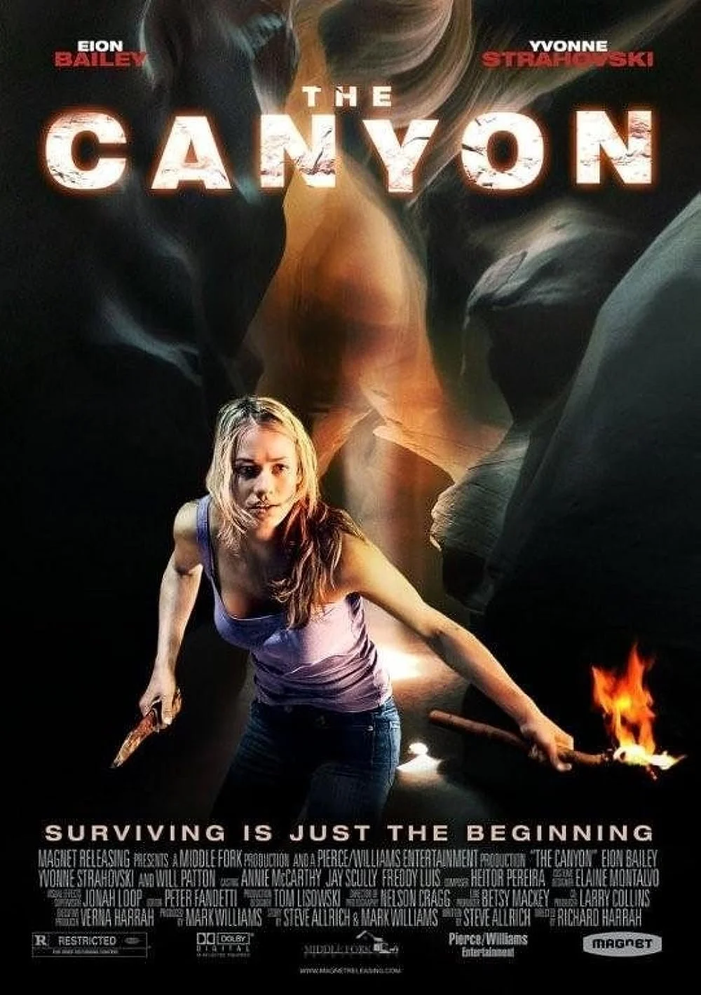 The Canyon (2009).jpg