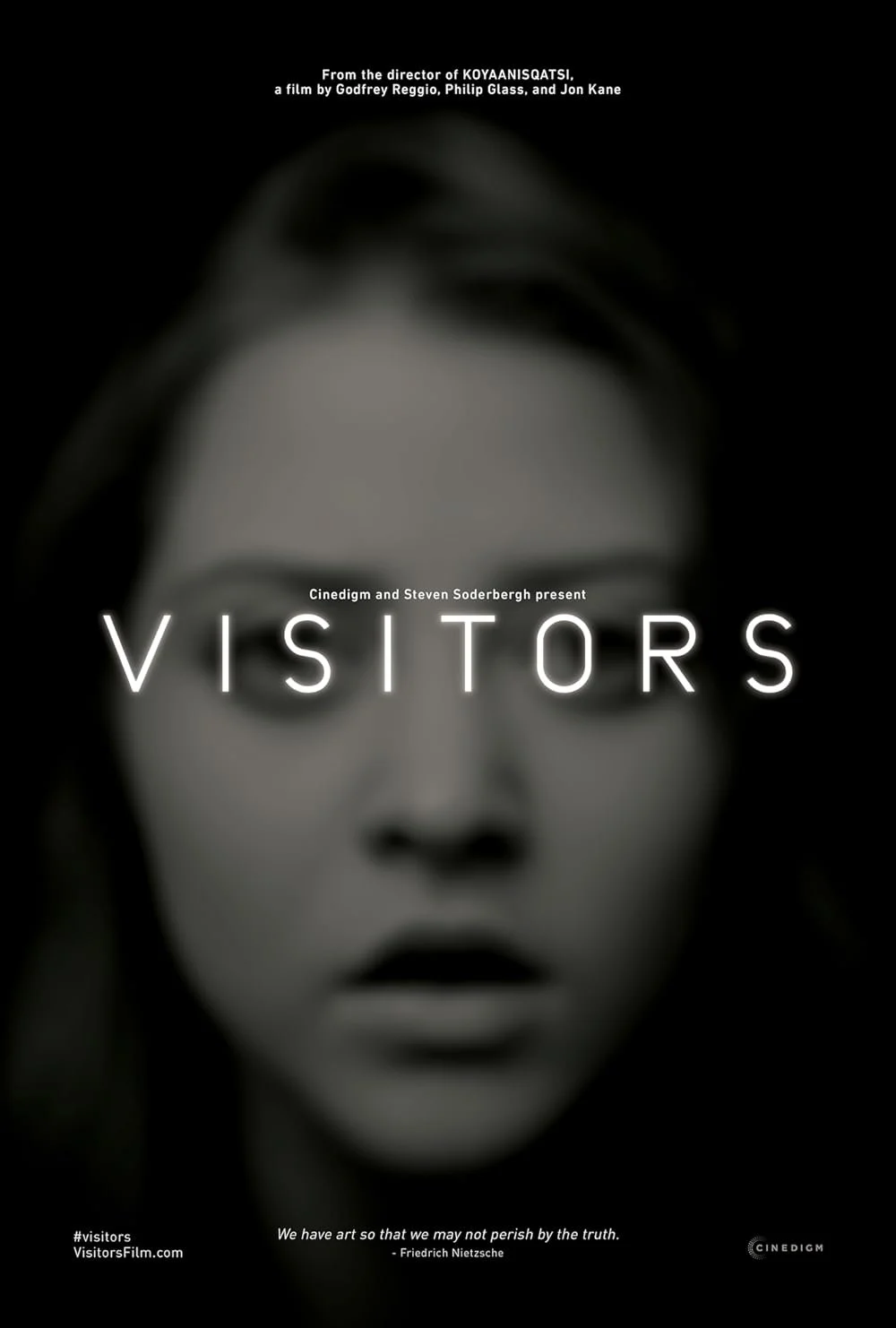 Visitors (2013).jpg