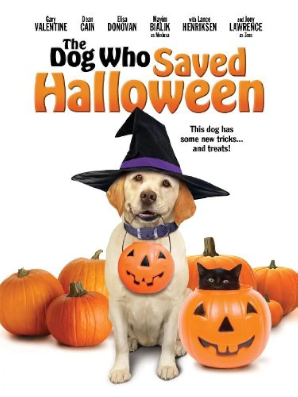 The Dog Who Saved Halloween (2011).jpg