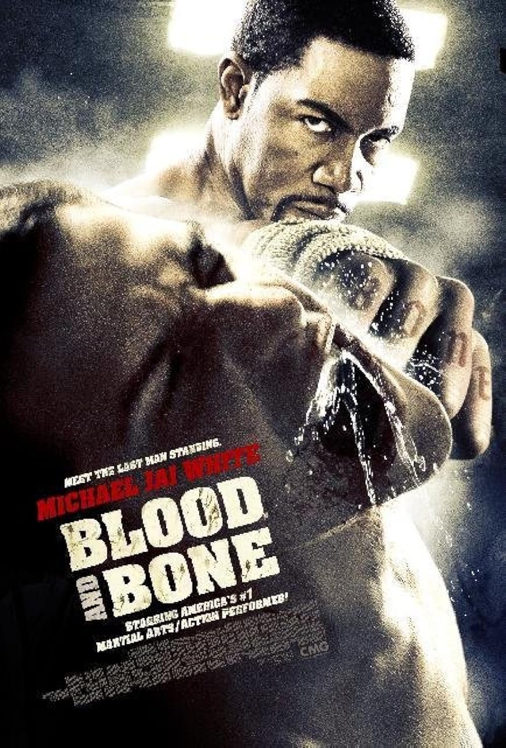 Blood And Bone (2009).jpg
