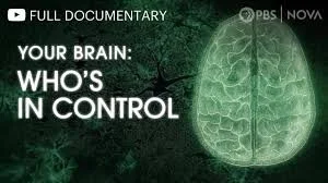 Your Brain - Who's In Control (2023).jpg