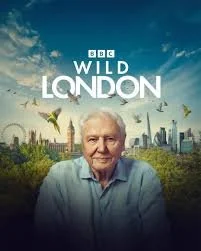 Wild London (2026).jpg