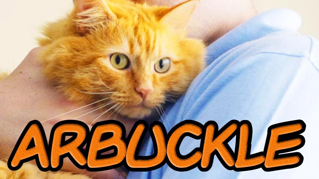 Garfield - Arbuckle (2019).jpg