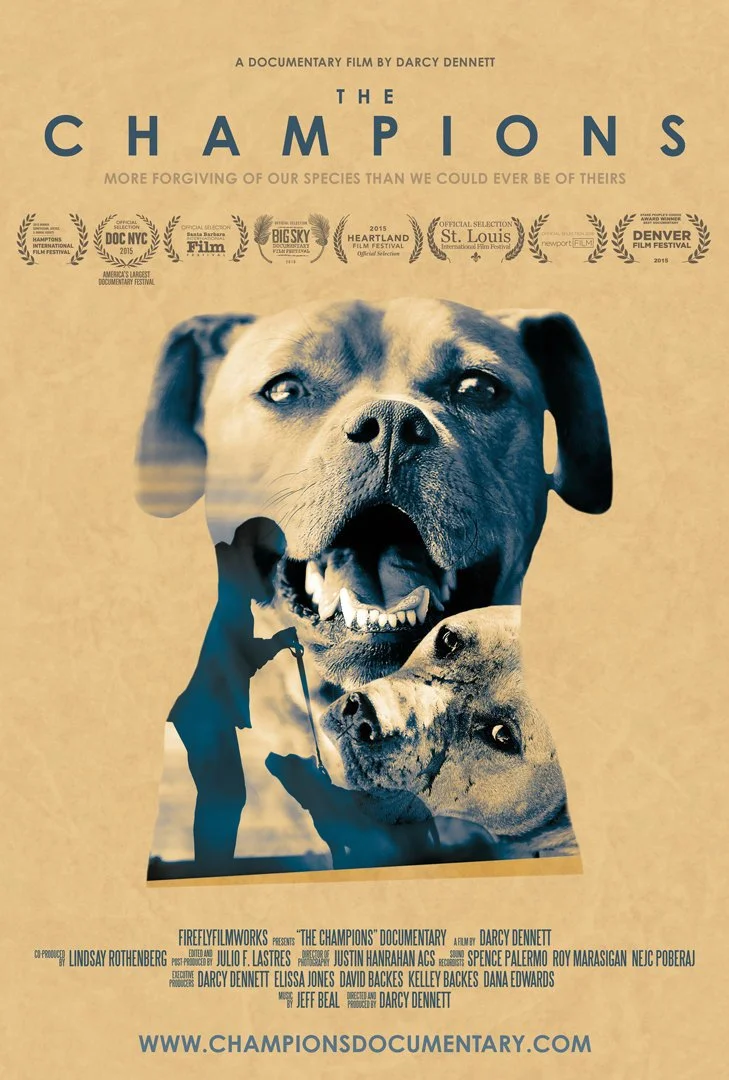 The Champions (2015).jpg