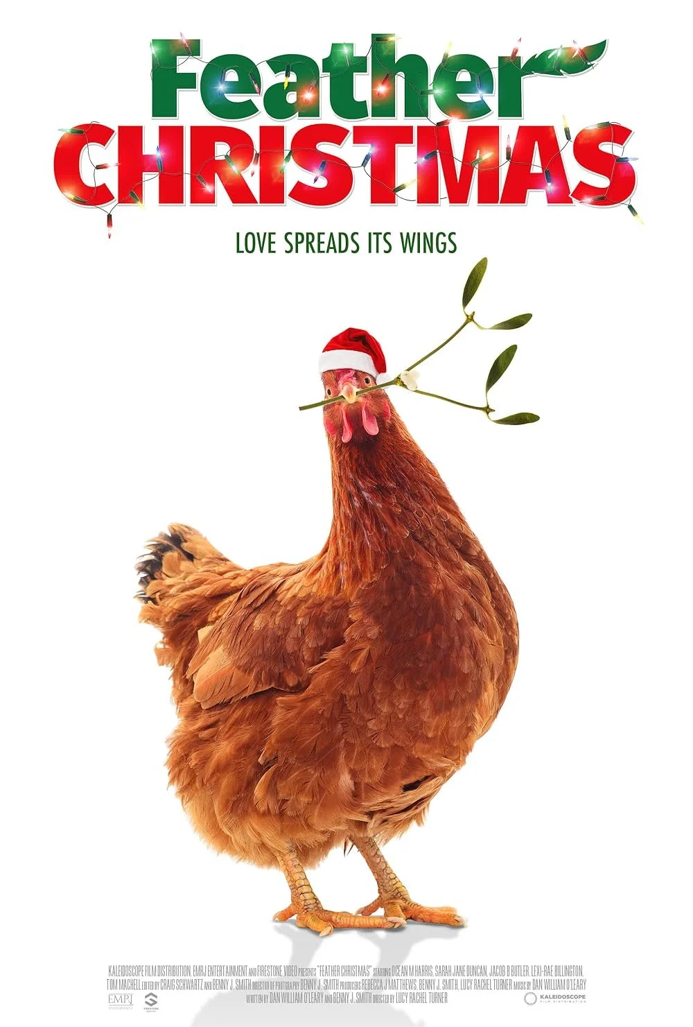 Feather Christmas (2024).jpg